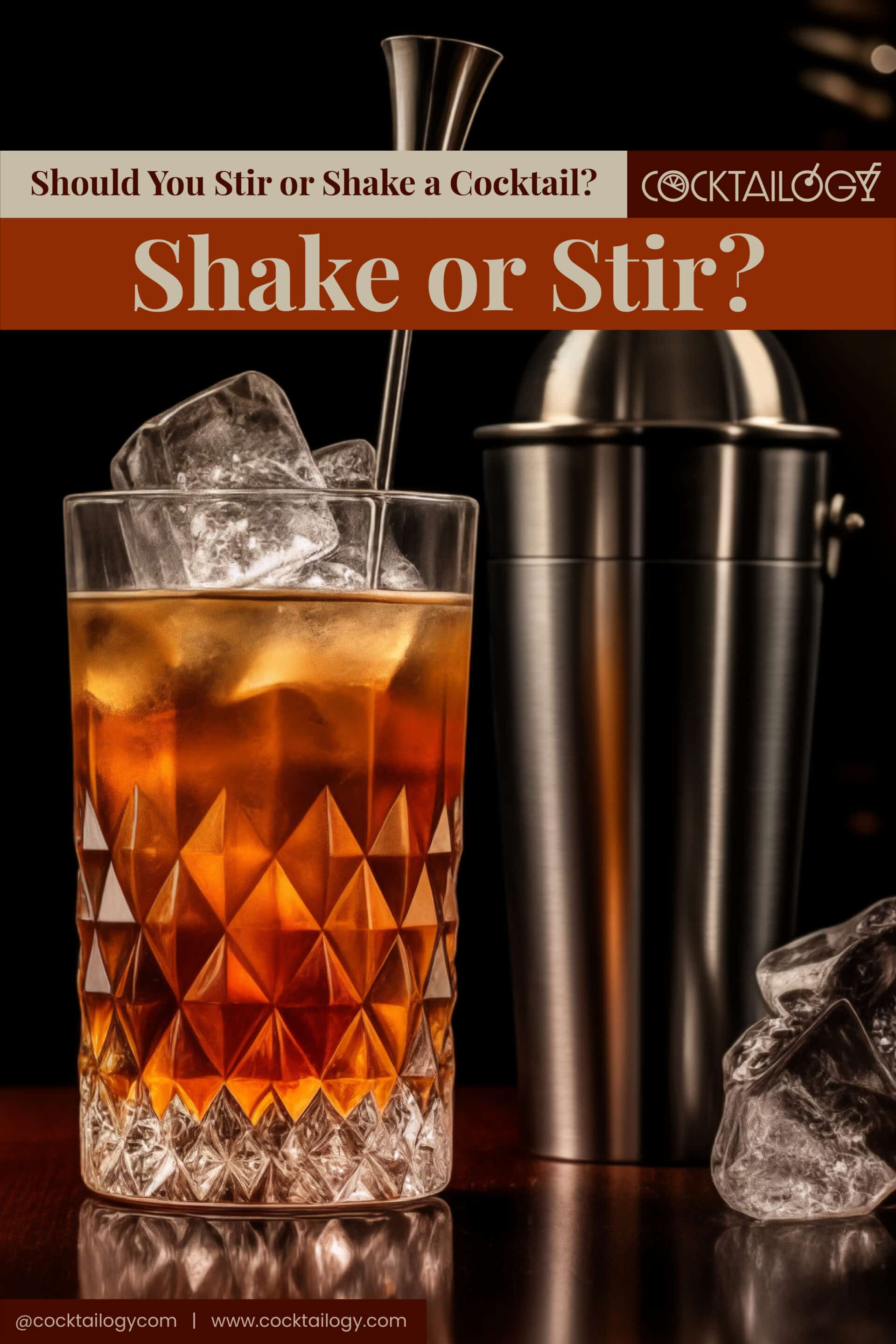 Shake or Stir Cocktail