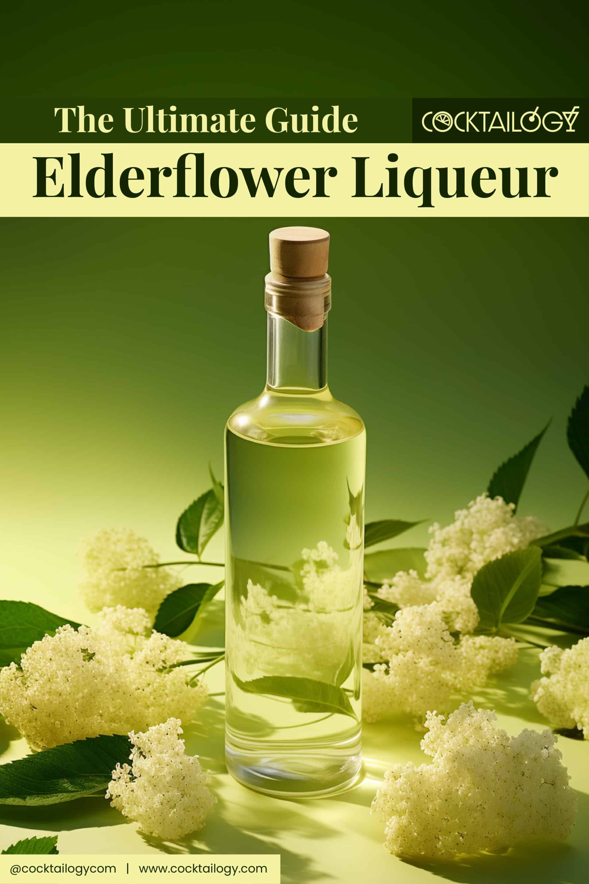 5 Floral Liqueurs Similar to St. Germain Elderflower Liqueur