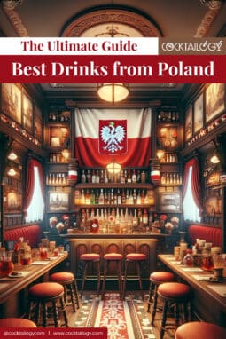 Polish Drinks